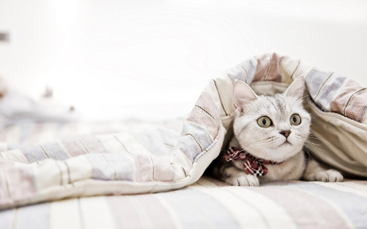 759844 (a): :2560x1600